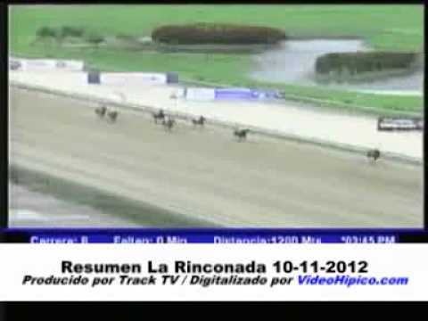 Resumen La Rinconada 10-11-2012