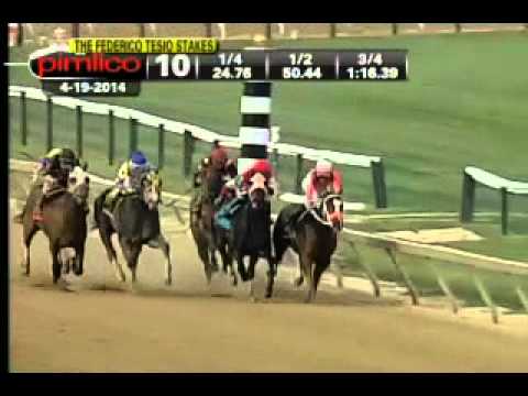 Pimlico 04/19/14 race 10 - Federico Tesio Stakes
