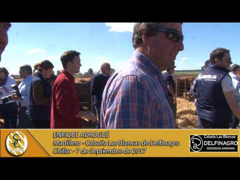 07-09-17 Nota Enrique Adrogue - Cabaña Las Blancas de Delfinagro S.A. - Chillar