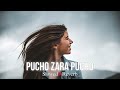 Pucho Zara Pucho Slowed X Reverb Lofi Song Music Industry