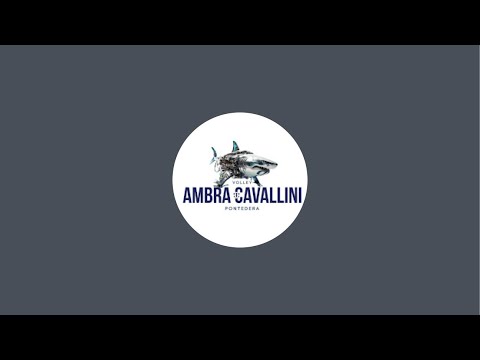 Ambra Cavallini Volley Channel sta trasmettendo dal vivo.