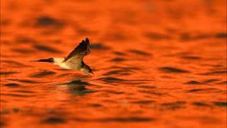 Mrignayana Rasik Mohini - YouTube