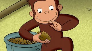 Curious George 🐵The Truth About George&#39;s Burger 🐵Kids Cartoon 🐵 Kids Movies 🐵Videos for Kids