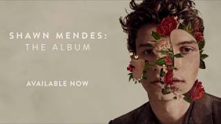 Download lagu Shawn Mendes The Album (official Trailer) mp3