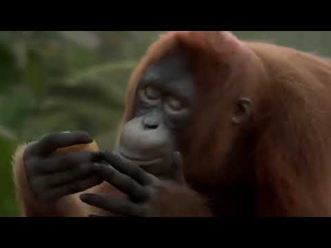 Happy birthday to all who born on October 23