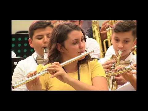 Fanfarele Reunite - Stim un rau cu apa vie