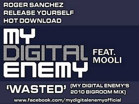 Roger Sanchez 'Hot Download' My Digital Enemy Feat. Mooli - Wasted 2010