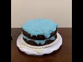 Blue Colour Cake Cake Lover My Favorite Cake Cake Decoration Shorts