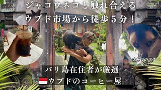 【バリ島ウブド】コーヒー好き必見🇮🇩ジャコウネコと遊べるおすすめ珈琲店☕️【在住者厳選・お土産にも◎】