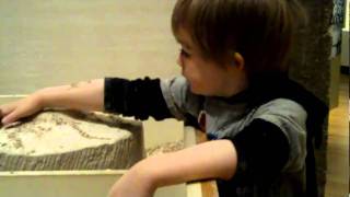 Shetland 2010 - Lerwick, Hillswick