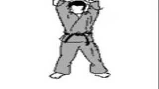 Drunken Ninja Master.