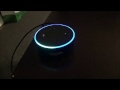 Alexa, Turn it up to 11! (Easter Egg)