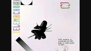 Mr Velcro Fastener - The Flock
