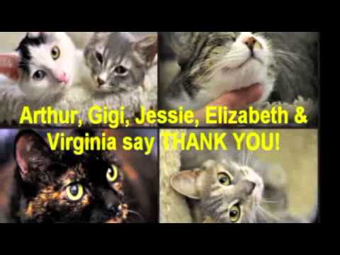 Paul Jolly Tribute FINAL