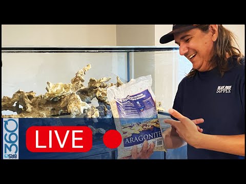 Sand or no sand? The answer to the great bare bottom vs sand debate | EP7: Ten Year Tank