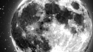 IL VOLO LA LUNA HIZO ESTO CON LETRA