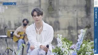 Highlight | Oasis (2021 version)