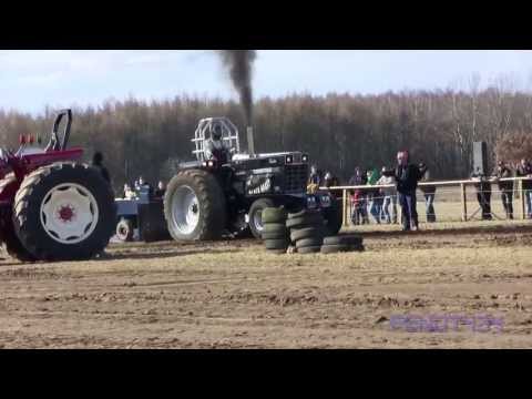 Trecker Treck Worth  - Sportklasse ... Black Beast vs Blue Diesel :)