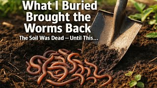 What I Buried in My Soil Made Earthworms Show Up in 3 Days