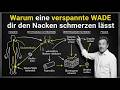 WADE TRIFFT NACKEN Wie Faszien Alles Verbinden
