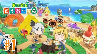 【あつ森】まったりスローライフの始まり！ あつまれ妖精と庭師の森 #1【あつまれどうぶつの森】