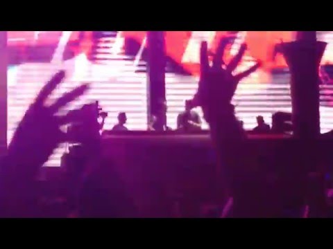 b2b - Borgeous, Don diablo, Sander Van Doorn