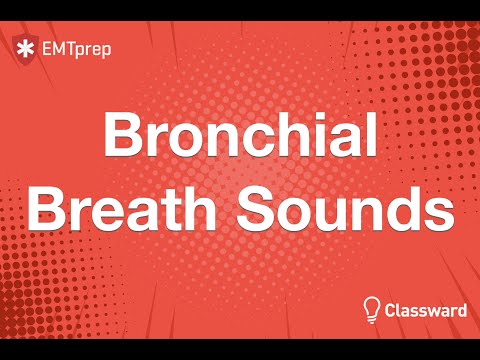 Bronchial Breath Sounds Animation - EMTprep.com