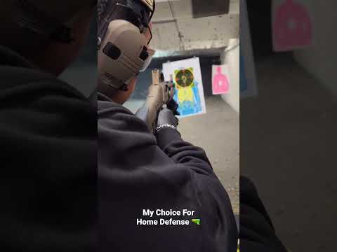 (TR IMPORTS) Silver Eagle RZ-17 Shooting Review 