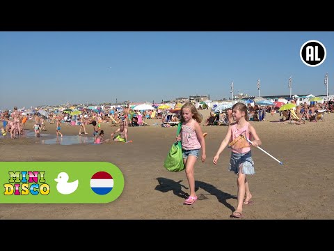 IN DE ZOMER | Kinderliedjes | Op het Strand | Minidisco