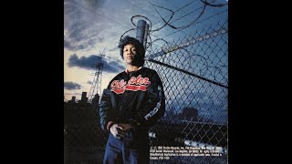 DJ Quik - Niggaz Still Trippin' 1992 (Compton, CA)