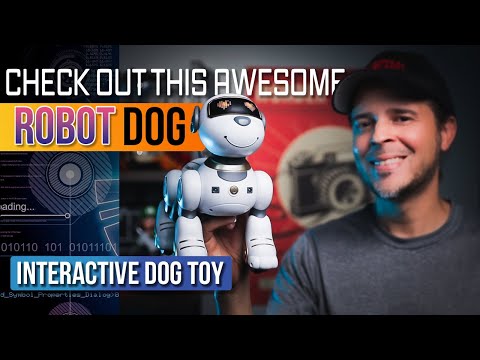 Check Out this Awesome Interactive Smart Robot Dog |  Sonomo | Review