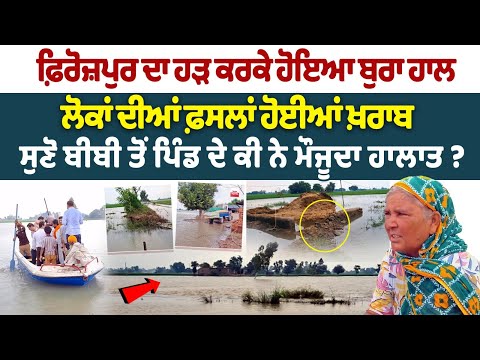 Ferozpur Flood News : ਫ਼ਿਰੋਜ਼ਪੁਰ ਦਾ ਹੜ ਕਰਕੇ ਹੋਇਆ ਬੁਰਾ ਹਾਲ, ਲੋਕਾਂ ਦੀਆਂ ਫ਼ਸਲਾਂ ਹੋਈਆਂ ਖ਼ਰਾਬ