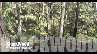 preview picture of video 'blackwood hd part 1'