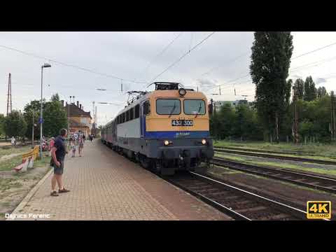 Rákosrendező a RENDEZŐ! 🇭🇺 | 4K Ultra HD