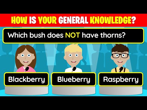👉  40 Trivia Quiz Questions - How is YOUR general knowledge?! | 25-182