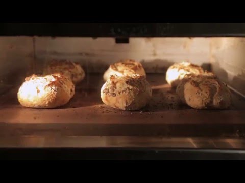 A dor granulada PAUL