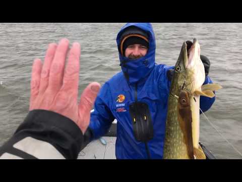 SPORTFISKEMÄSSAN 2019 - DARTS / RENZSTEIN