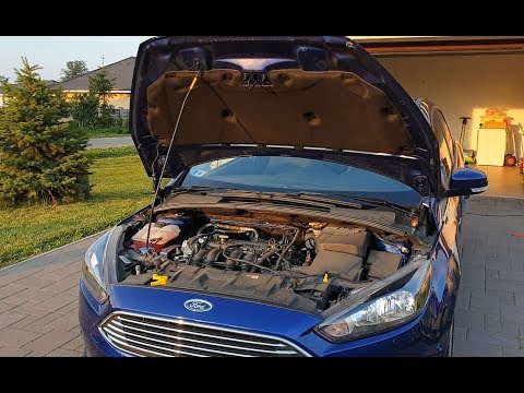 Engine bay cleaning (Chemical Guys Orange Degreaser and VRP)