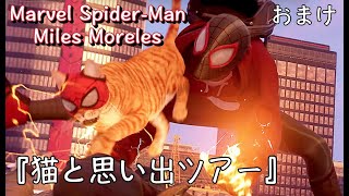 おまけ：マーベルスパイダーマンマイルズモラレス『猫と思い出ツアー』
