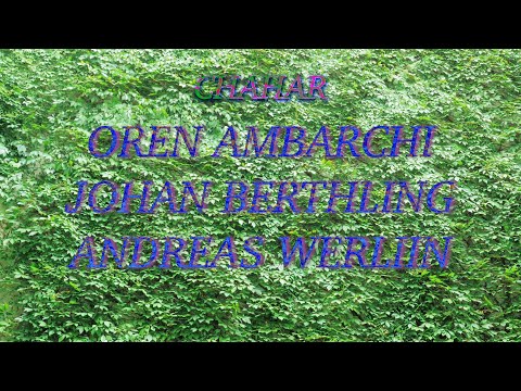 Oren Ambarchi / Johan Berthling / Andreas Werliin "Chahar" (Official Music Video)