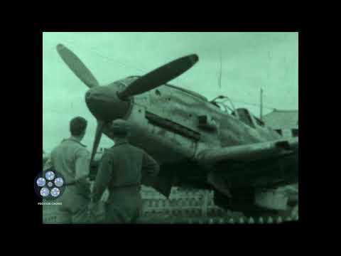 Nielson Field Japanese Fighter 1946