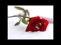 * * *    Connie Francis   -  Tango Roses   * * *