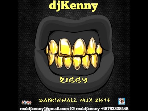 DJ KENNY ZIGGY DANCEHALL MIX MAY 2K17