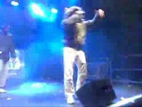 Doppel-h-gang Bacapon MistaMalikFriedman Raubtiermuzik fick Bushido