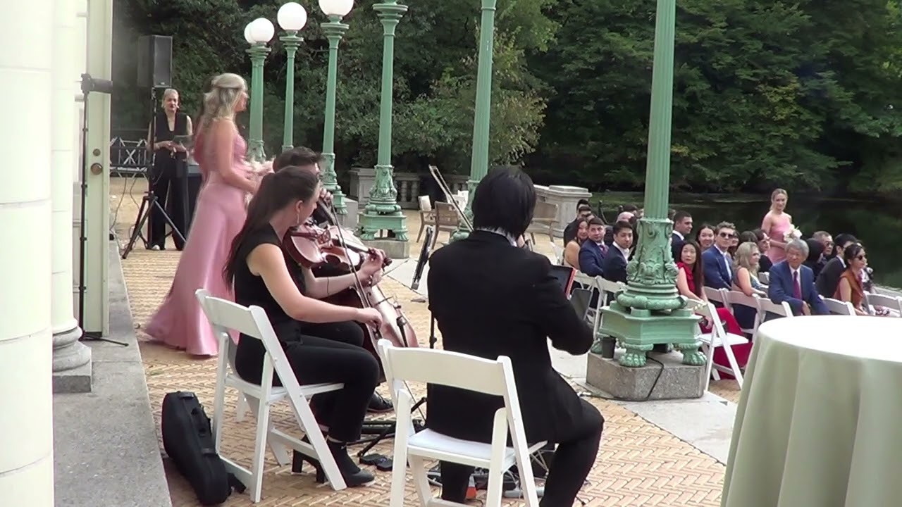 Promotional video thumbnail 81 for Xinou Wei Strings