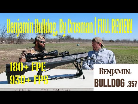 Benjamin Bulldog, By Crosman | FULL REVIEW