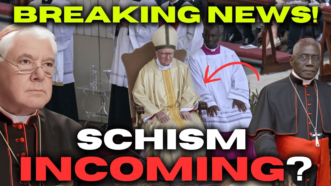 The CONCLAVE has already EXPLODED: FRANCIS' CARDINALS are starting to TREMBLE!