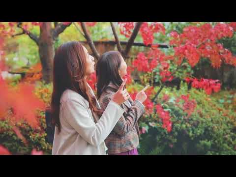 【下呂温泉】こころをなでる静寂みやこ-イメージ動画-