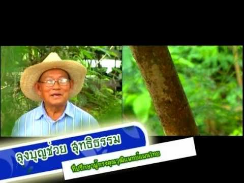 การเตรียมยาแรง สมาชิกเพิ่มขึ้นเตียรอยด์