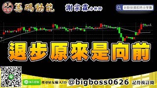 【大戶羅盤籌碼動能】 #謝宗霖1115，退步原來是向前 (圖)